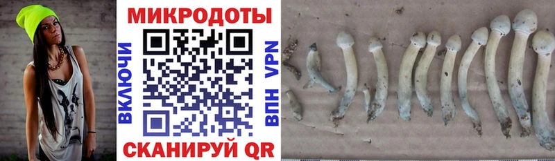 Псилоцибиновые грибы мухоморы  Купить где  Горбатов 